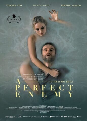 A Perfect Enemy - assistir Inimiga Perfeita Dublado e Legendado Online grátis