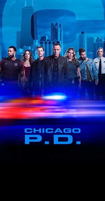 Chicago P.D.: Distrito 21 - assistir Chicago P.D.: Distrito 21 7ª Temporada dublado online grátis