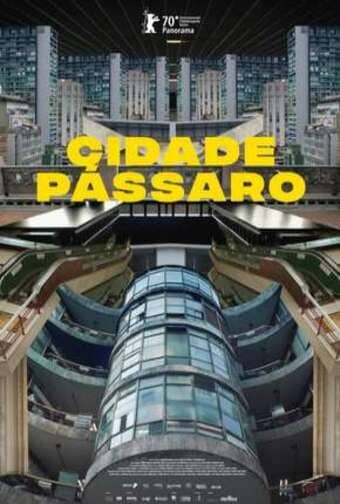 Cidade Pássaro - assistir Cidade Pássaro Dublado e Legendado Online grátis