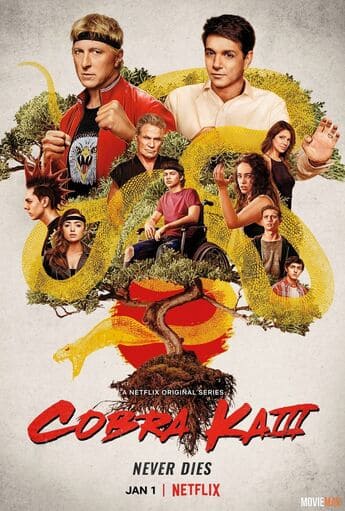 Cobra Kai 3ª Temporada - assistir Cobra Kai 3ª Temporada dublado e Legendado online grátis