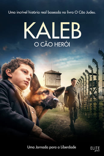 Kaleb: O Cão Herói