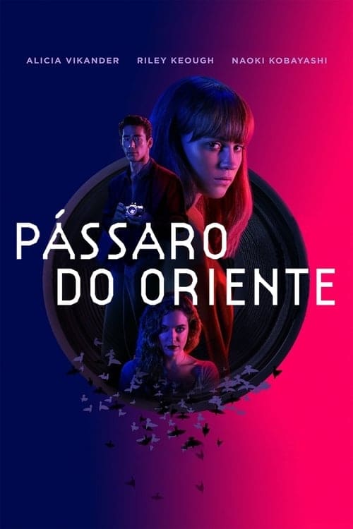 Pássaro do Oriente - assistir Pássaro do Oriente Dublado Online grátis